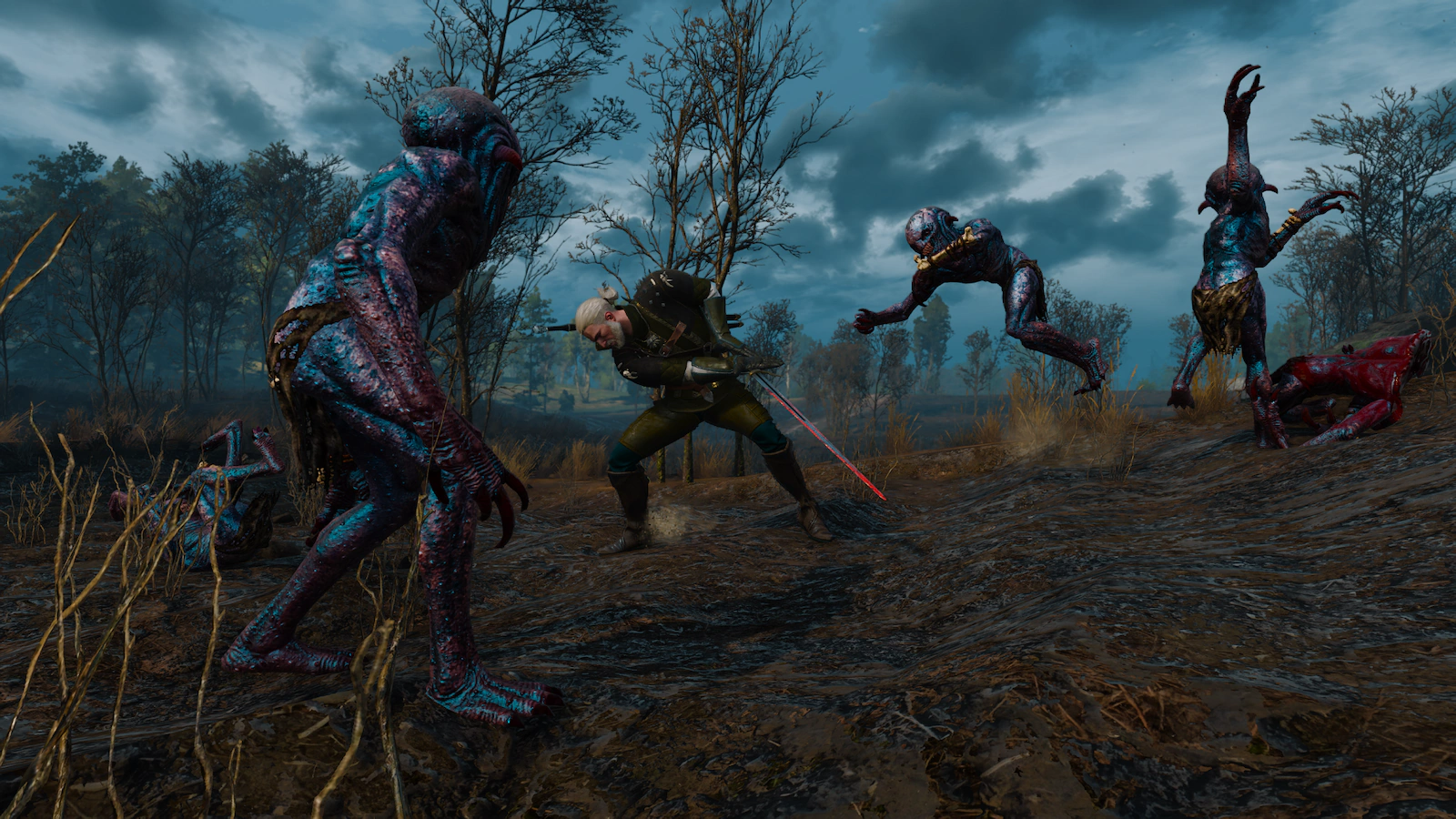 Witcher screenshot 2