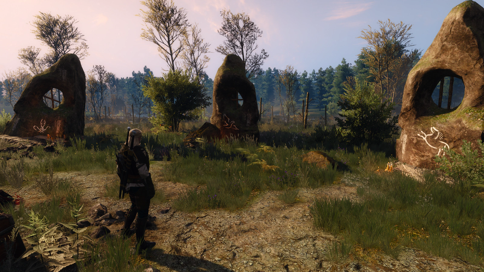 Witcher screenshot 3