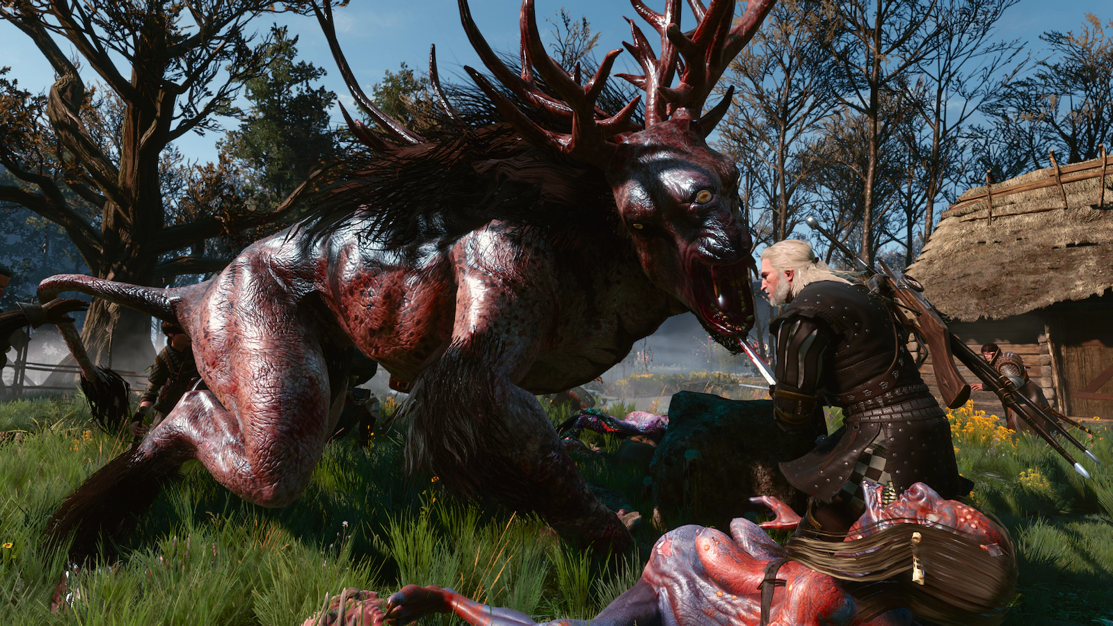 Witcher screenshot 4