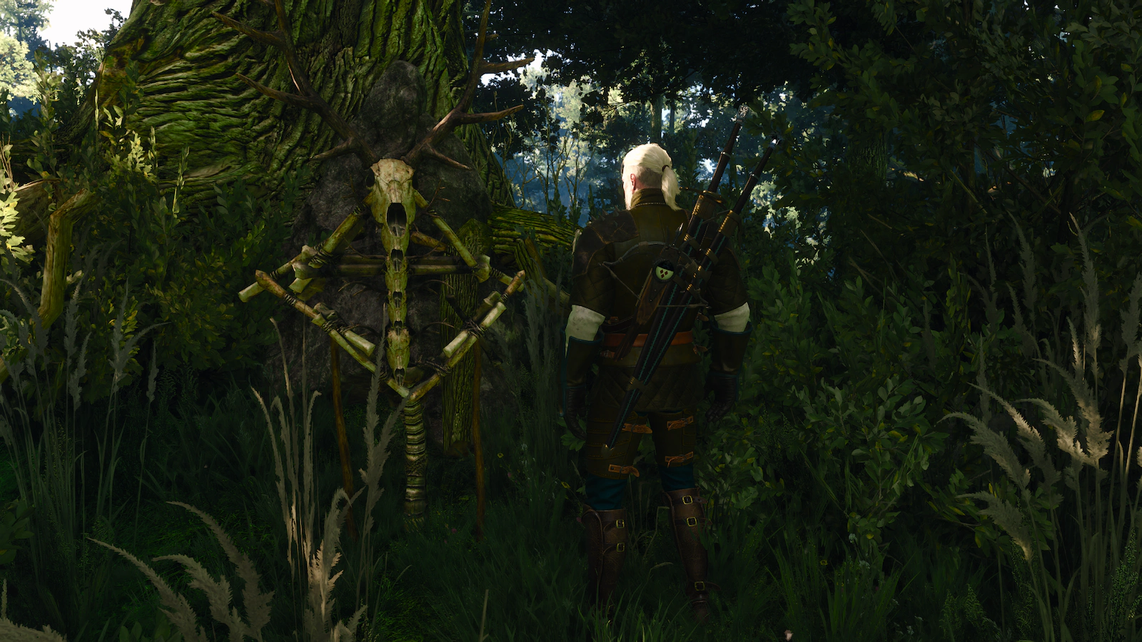 Witcher screenshot 5