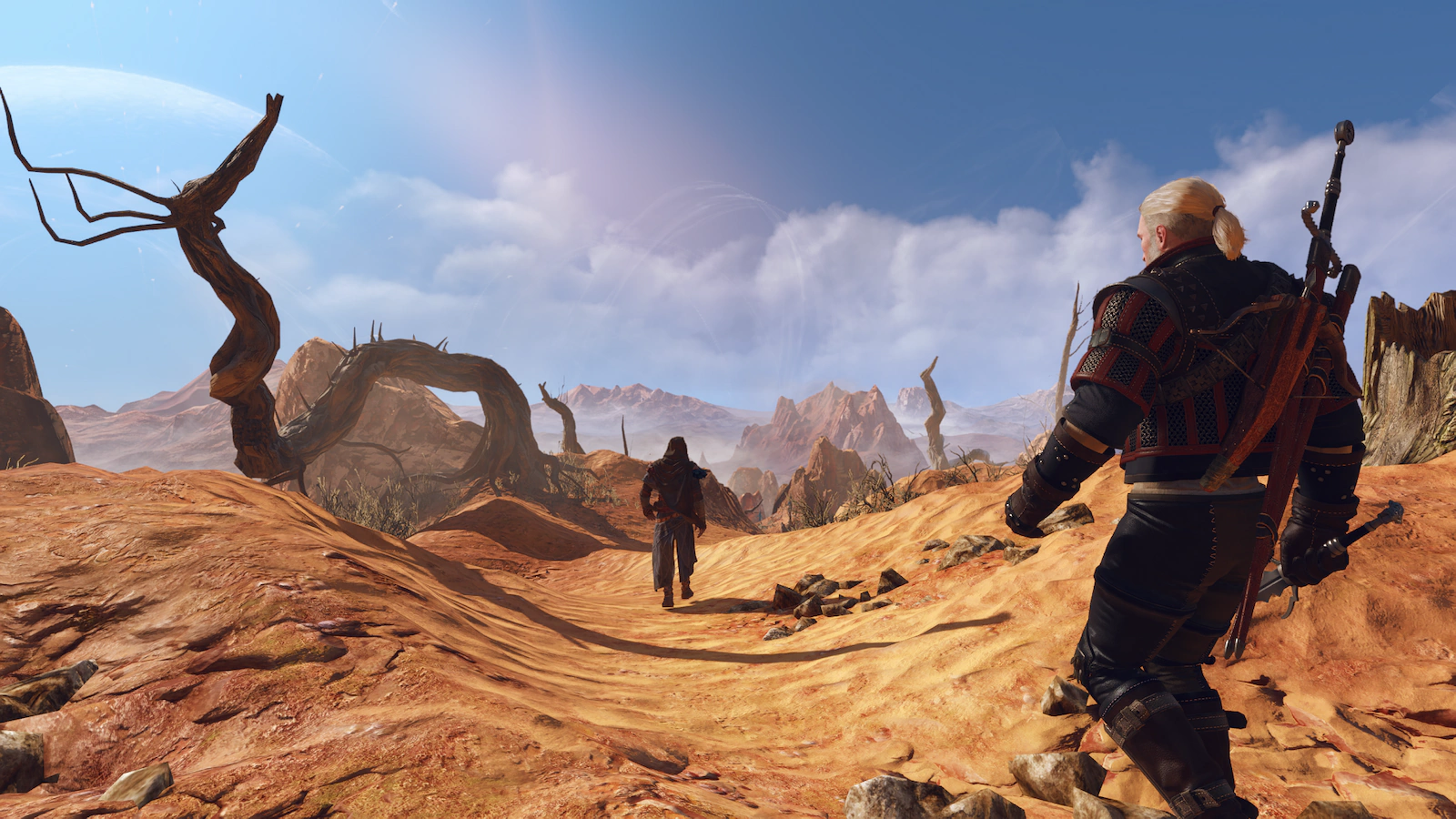 Witcher screenshot 8